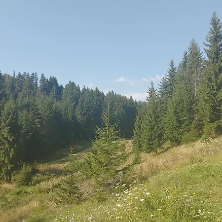 Кемпинг Cabana La Dragos Si Carmen Pe Coclauri